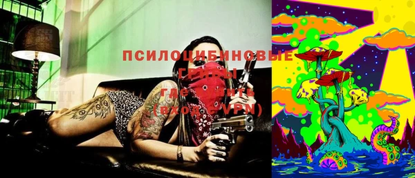 гашик Лиски
