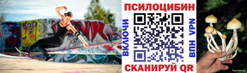 Галлюциногенные грибы Psilocybe  Прокопьевск 