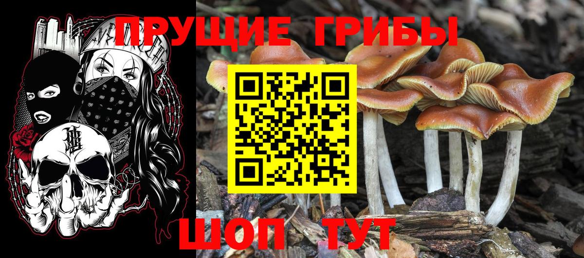 Гарик  Мефедрон  Прокопьевск  Где купить наркотики?  Вход с VPN  Марихуана  Конопля 