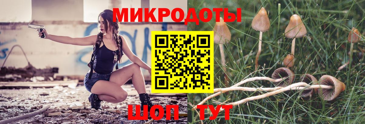 Галлюциногенные грибы Psilocybe  Вход с VPN  Прокопьевск 