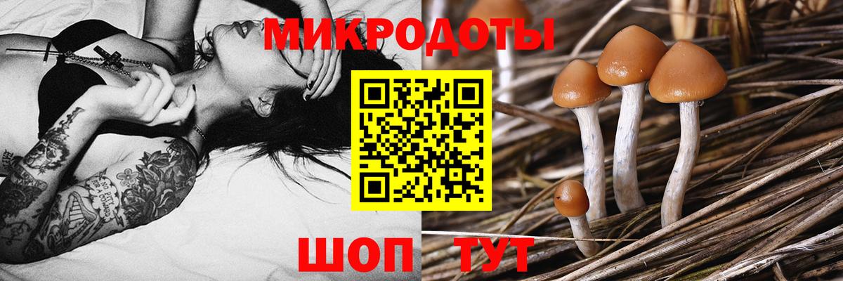 Галлюциногенные грибы MAGIC MUSHROOMS  Прокопьевск 